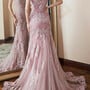 Women's Trumpet/Mermaid Lace Formal Prom Dresses Long Tulle Appliques Evening Party Gowns Long A011-1