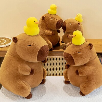 Cute capybara with duck plush toy