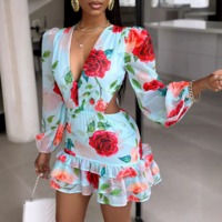 Fashion Sexy V-Neck Printed Long Sleeve Dress - Thumbnail 1