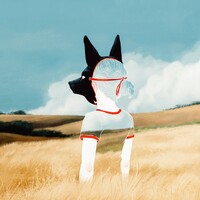 Wild Youth - Wall Tapestry - Thumbnail 1