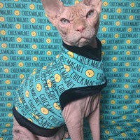 Chick Magnet - Thumbnail 1