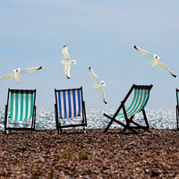 Sea Gulls And Deck Chairs Cross Stitch Pattern - Thumbnail 2