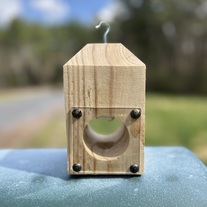 Carpenter Bee/ Wood / Boring Bee Trap