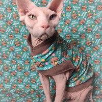 Basket Case - Thumbnail 2