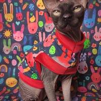 Hunny Bunny - Thumbnail 2