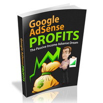 Google Adsense Profits