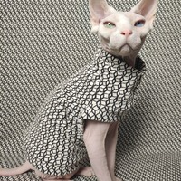 Q*bert - Thumbnail 2