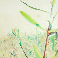 Landscape that is coming - Thumbnail 1