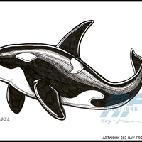 Drawtumn 2016 Sketches PART 3 - Thumbnail 2