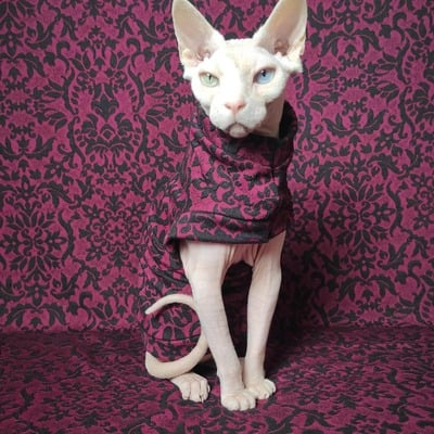 Oxblood damask - Thumbnail 4