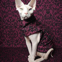 Oxblood Damask - Thumbnail 1