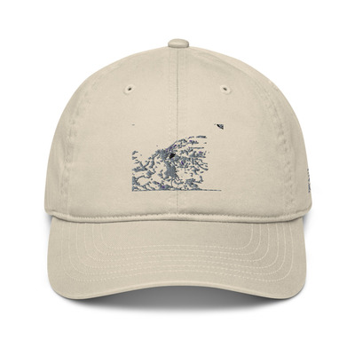 Organic dad hat - journey