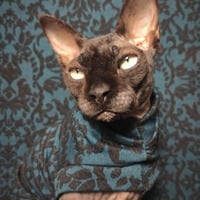 Emerald Damask - Thumbnail 1