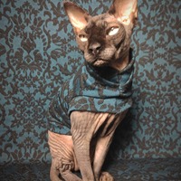 Emerald Damask - Thumbnail 2