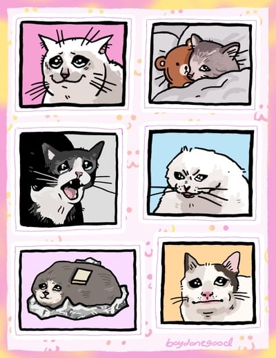 Crying Cat Meme Sticker Sheets