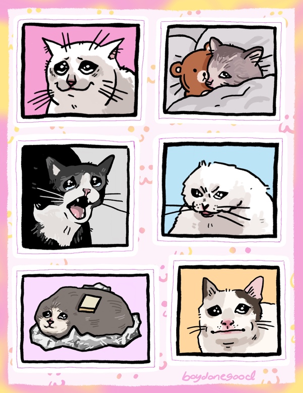 Crying Cat Meme Sticker Sheets