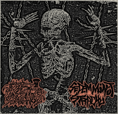 CD: Axeslaughter/Sedem Minut Strachu "Split"