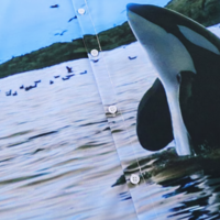 ORCA SHIRT - Thumbnail 2