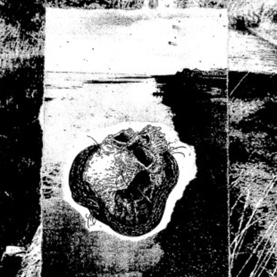 Knifedoutofexistence 'mist clouds the view' c-38 - Thumbnail 1