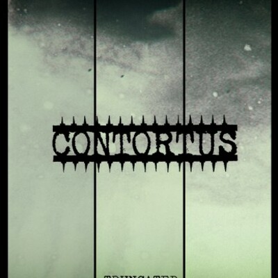 Contortus 'truncated' 3"cd - Thumbnail 2