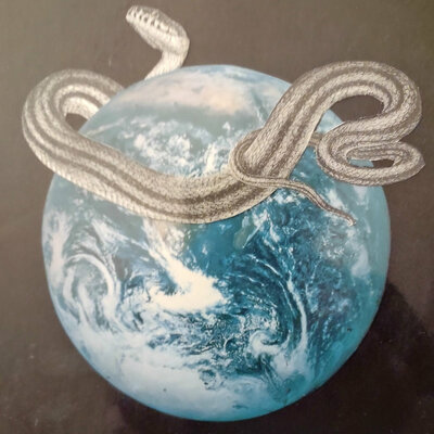 Viper 'serpentine' cdr