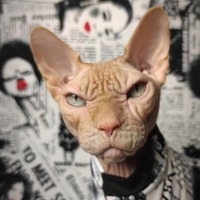 Beautiful News- Sleepwear - Thumbnail 2