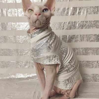 Distressed silver stripe - sleepwear - Thumbnail 5