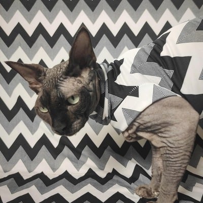 Bezerker - sleepwear - Thumbnail 3