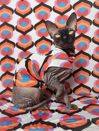 Palm Springs Peacock - Sleepwear