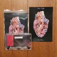 Leslie Keffer & Last Action C-21 - Thumbnail 1