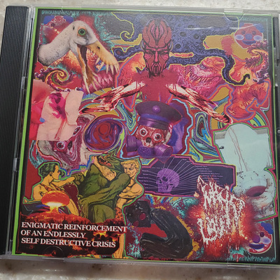 Putrid liquid - enigmatic reinforcement of an endlessly self destructive crisis ep (cd)