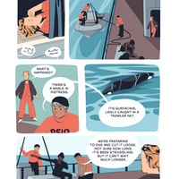 Dead Men's Tales - Thumbnail 3