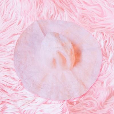 H&M Women's Paper Straw Sun Hat | Wide Brim Beach Hat | Pink, Coquette Chic