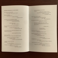 Kevin Opstedal: Dharma Pharmacy & Surf Shop - Thumbnail 3