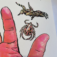 Arachnids/Hand Screen Print (18" x 24") - Thumbnail 1