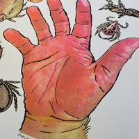 Arachnids/Hand Screen Print (18" x 24") - Thumbnail 3