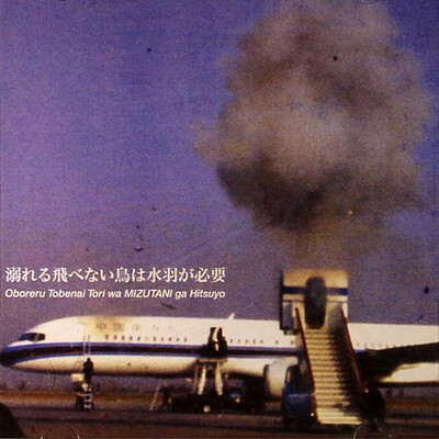 Hadaka No Rallizes (Les Rallizes Denudes) "Oboreru Tobenai Tri Wa Mizutani Ga Hiysuyo" LP