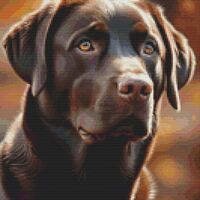 Chocolate Labrador Cross Stitch Pattern - Thumbnail 1