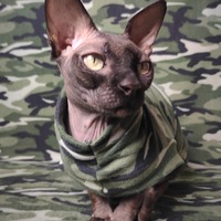 Catnip Camo - Sweaterknit - Thumbnail 2