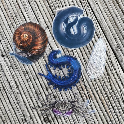 Transparent nature stickers