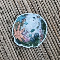 Rock Pool Orb stickers - Thumbnail 3