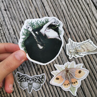 Nature Stickers - Thumbnail 1