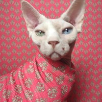 Coral Crest - Thumbnail 2