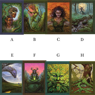 Tapestry print (assorted images)