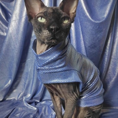 Silver circles in blue