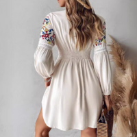 Long Sleeve Embroidered V-neck Casual Dress - Thumbnail 3