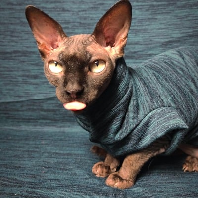 Green machine - sweaterknit 