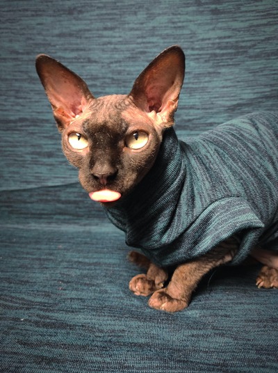 Green Machine - Sweaterknit 