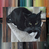 "Lucifer, The Rescue Cat,"  Kitty Cat Portrait, Original Artwork By N.E.Thompson, Artwork Size 8x10 Inches - Thumbnail 1
