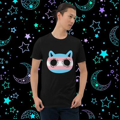 Transgender pride kitty unisex t-shirt